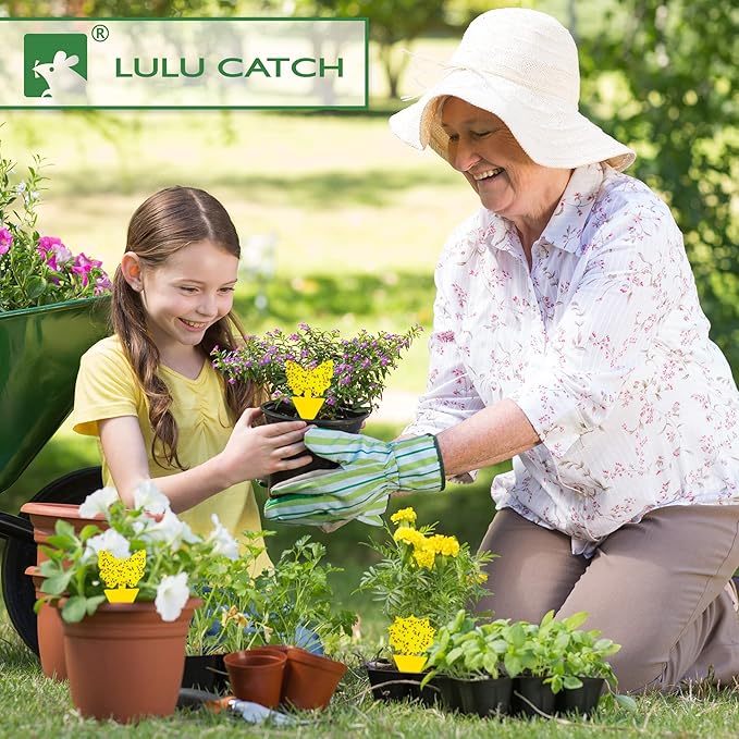 LULUCATCH Fruit Fly Sticky Traps 12 Pcs, Yellow Sticky Trap, Non-Toxic Gnat Traps Insect Catcher, Super Sticky Fly Traps for Indoor Outdoor Kitchen White Flies Mosquitos Fungus Gnats Flying Insects