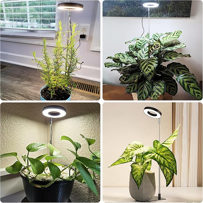 Black 3.54" LED Grow Light, Full Spectrum Plant Lights for Indoor Growing with 3/9/12H Timer, 3 Color Modes, 10 Brightness, Height Adjustable,Small Halo Grow Light with Base, 3 Pack
