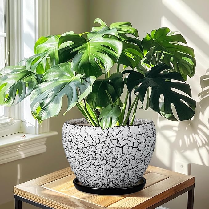Ceramicfor Ceramic Planters for Indoor Plants - 10 Inch Plant Pot with Drainage Hole and Saucer, Large Flower Pot for Home Decor, White/Black