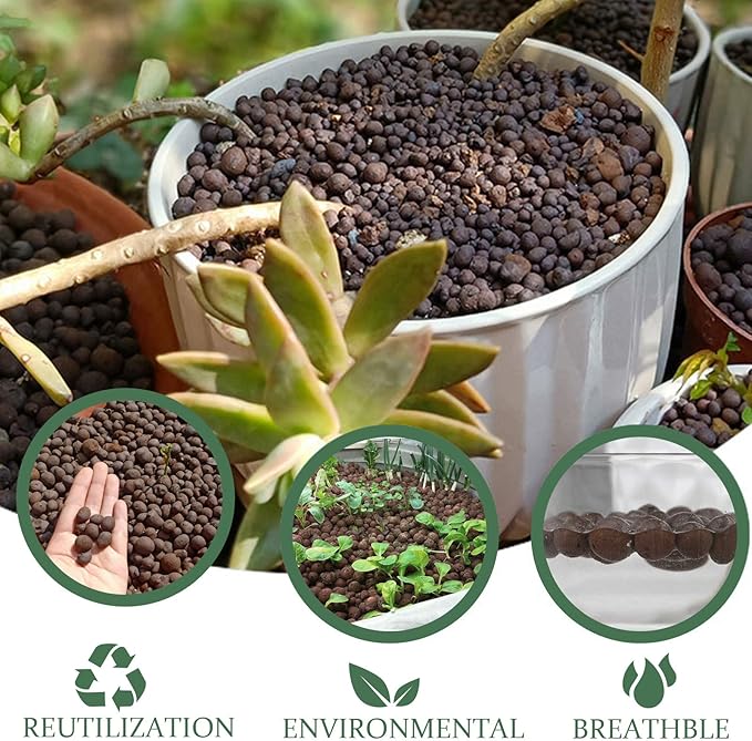 2LBS Leca Expanded Clay Pebbles Hydroponics Supplies for Indoor Garden Plants (2LBS)