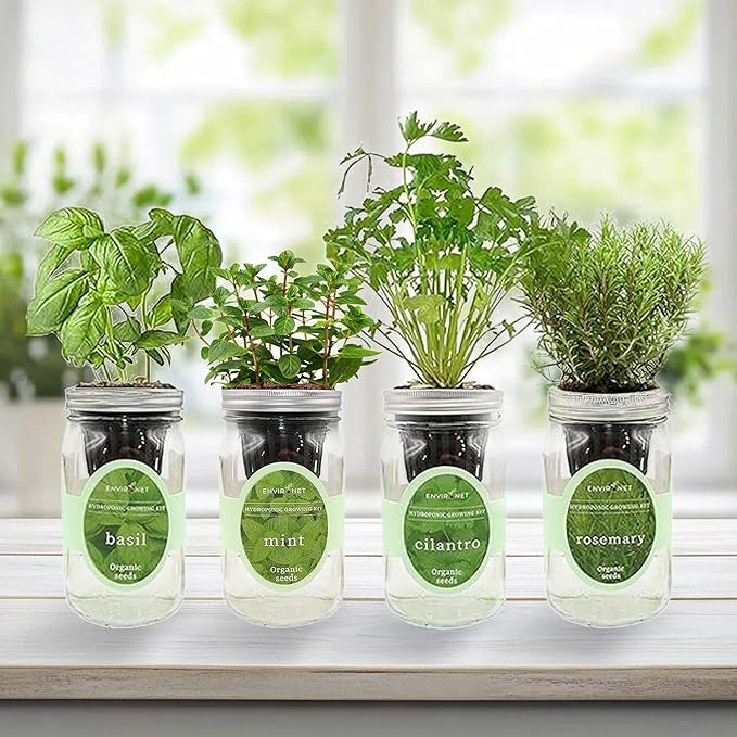 Hydroponic Herb Growing Kit Set, Self-Watering Mason Jar Herb Garden Starter Kit Indoor, Grow 4 Kinds of Herbs from Seeds (Basil, Mint, Cilantro & Rosemary)