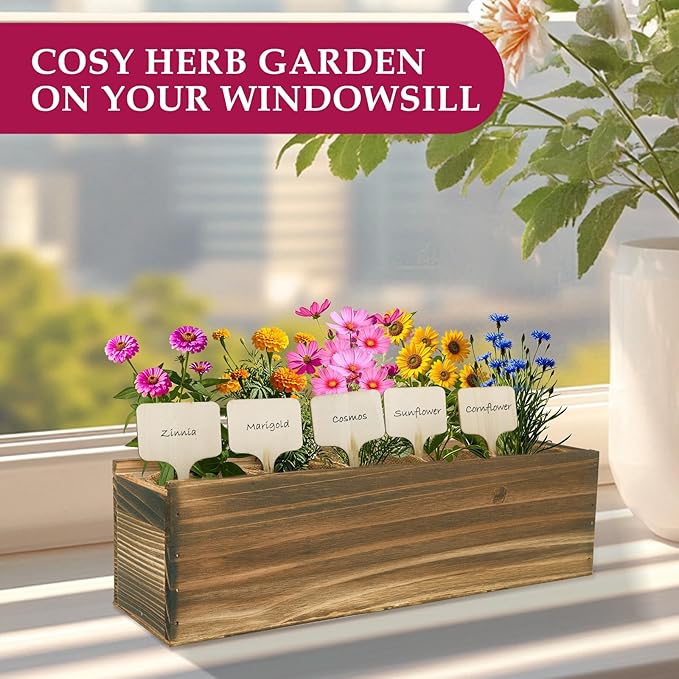 5 Indoor Flowers Growing Kit for Beginners, Complete Planting Starter Set with Zinnia, Cosmos, Sunflower, Marigold, Cornflower Seeds, Unique Gardening Gifts for Women & Men