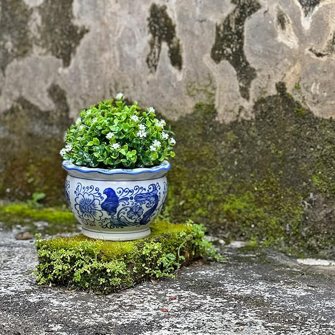 HakkaGirl Blue and White Planters, Succulent Pots Ceramic Plant Pots Indoor with Drainage for Home Décor - Set of 3