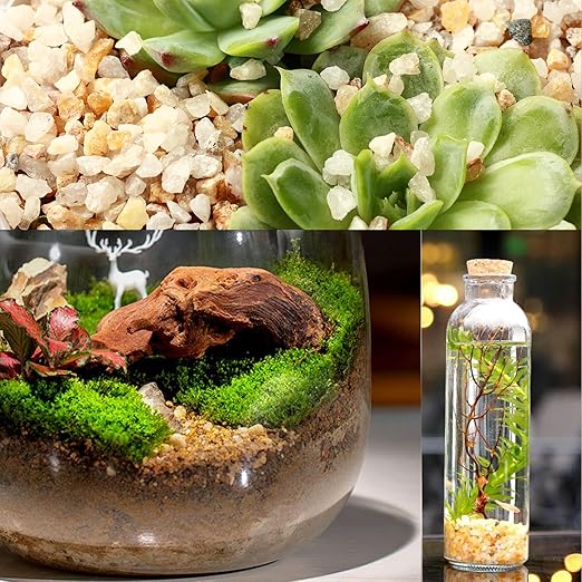 18 Pounds Coarse Silica Sand Succulent and Cactus Bonsai Stones Soil Cover Gravel for Indoor Outdoor Plants Natural Decorative Rocks for Fairy Gardening, Vase Fillers, Aquariums, Carnivorous Plant Mix