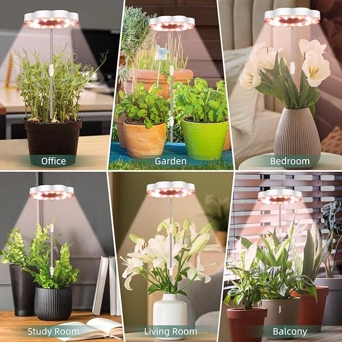 CFGROW Grow Light Full Spectrum Plant Light for Indoor Plants, Height Adjustable Growing Lamp with Auto On/Off Timer 3/9/12H, 10 Dimmable Levels, 3 Light Modes Small Plant Grow Light