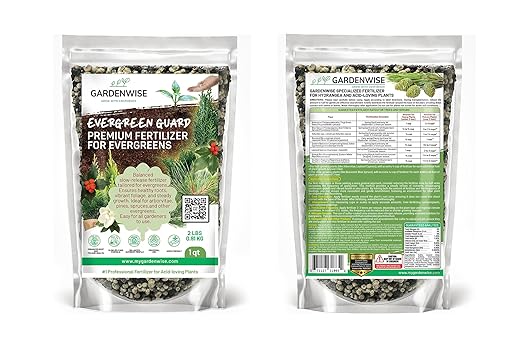 GARDENWISE Evergreen Fertilizer – All-Purpose Granular Plant Food for Outdoor Trees and Shrubs, Azaleas, Magnolias, Pines & Arborvitae – Slow-Release Formula (3 quarts)