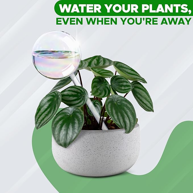 EcoNour 2PCS Light Iridescent Self-Watering Glass Globes | Automatic Plant Waterer for Indoor & Outdoor Use | Provides Up to a Week of Hydration | Ideal for Plant Lovers