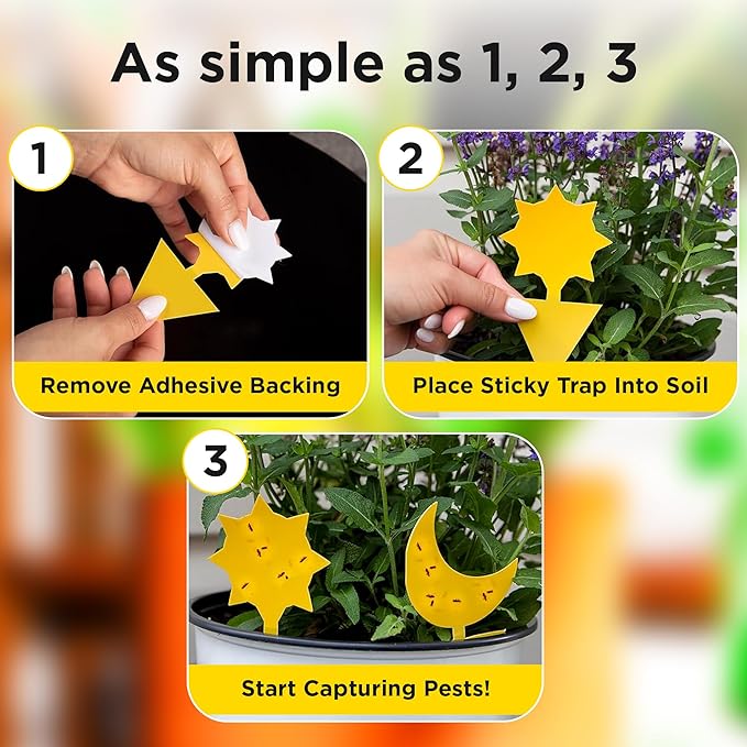 Classy Casita Yellow Sticky Traps - Fungus Gnat Trap, Gnat Traps for House Indoor, Insect Catcher Traps for Plant, Bug Sticky Traps for Plants, Fruit Fly Traps for Indoors, Fly Traps Outdoor - 24-Pack