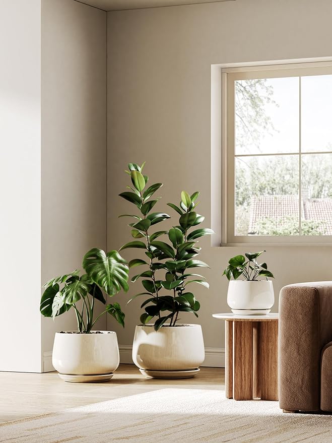 LE TAUCI Ceramic Plant Pots, Set of 2, 10 + 12 Inch Plant Pot, Elegant Planters for Indoor Plants, Sturdy Planter with Drainage Hole and Saucers, Perfect for Home Decor, Reactive Glaze Beige
