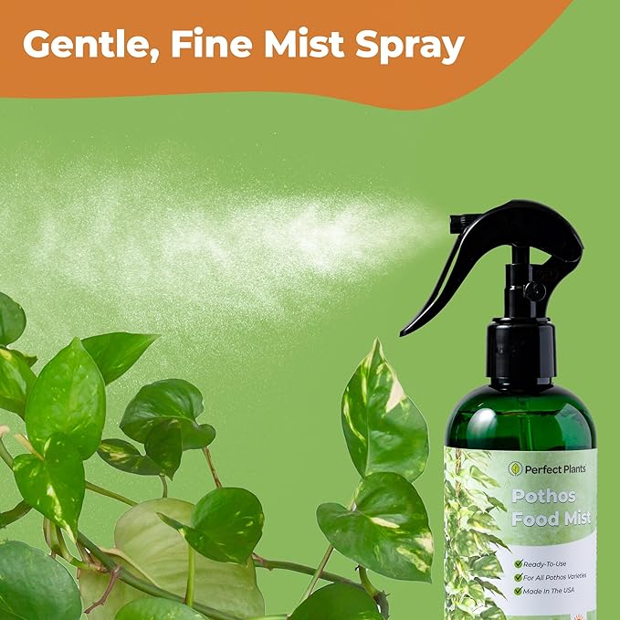 Pothos Spray Fertilizer by Perfect Plants | Liquid Plant Food for Potted Indoor Pothos | Foliage Growth Booster Balanced Phosphorus Free NPK Ratio (8 fl oz)