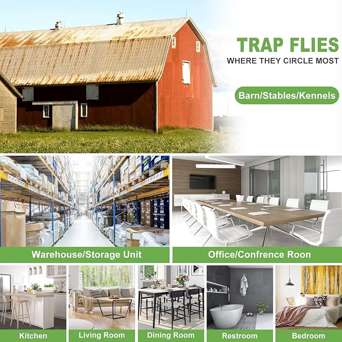 LFSYS 100 Pack Window Fly Trap, Fruit Fly Traps for Indoors, Fly Paper Sticky Strips, Fly Traps for Indoors Bug Catcher Clear