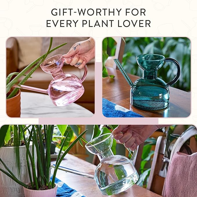 Modern Sprout Plant Watering Can - Handcrafted from Borosilicate Glass - Long Spout Vessel for Indoor Plants - 32 Oz Capacity - Multipurpose Watering Can and Flower Vase for Houseplants (Blush)