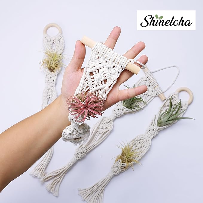 4 Pack Air Plants Holders, Wall Planters for Indoor Plants | Macrame Plant Hanger, Air Plant Hanger for Air Fern, Tillandsias, Live Houseplants & Succulent (NO Plant Included)