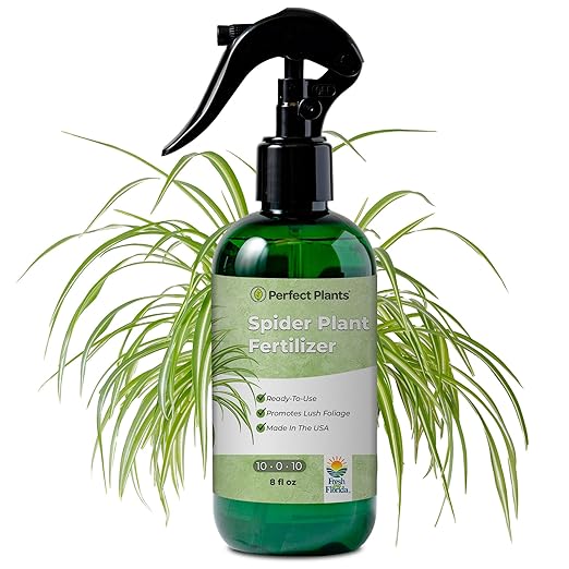 Spider Plant Fertilizer Spray by Perfect Plants | Best Liquid Plant Food for Spider Plants or Spider Ivy | Gentle nutrients for Tropical Indoor houseplants (8 fl oz)