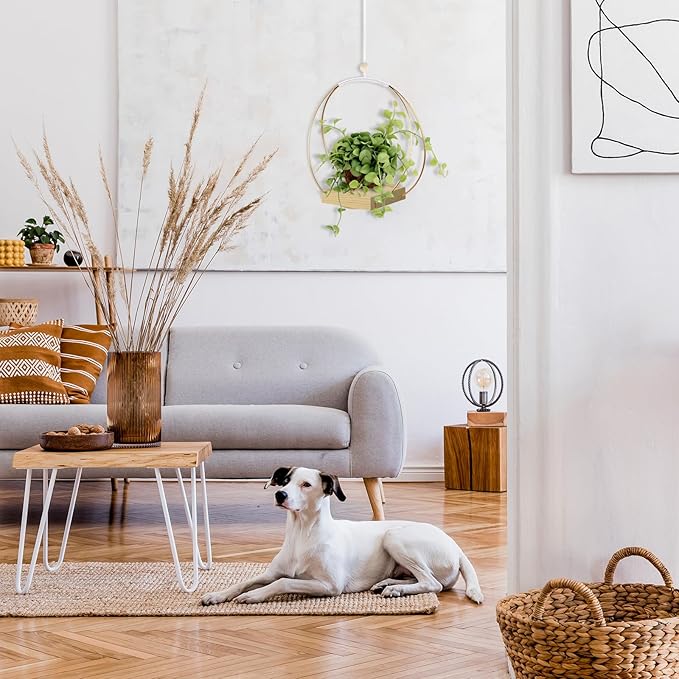 Adnkwolivt Hanging Planters for Indoor Plants - Plant Hanger Outdoor, Metal Plant Hanger Mid Century Boho Macrame, Hanging Wall Ceiling Window, Gift for Mom, Plant Lovers, Housewarming