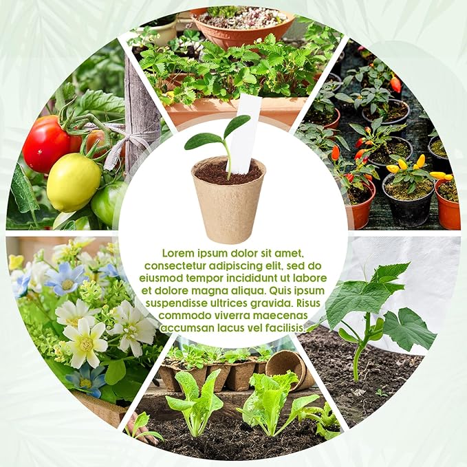 Layhit 300 Pcs Seed Starter Plant Pots Kit, Compressed Coir Fiber Potting Soil, 2.36 Inch Nursery Pots, Small Seed Starting Starter Tray Bulk, Garden Germination Container Set with Planting Labels