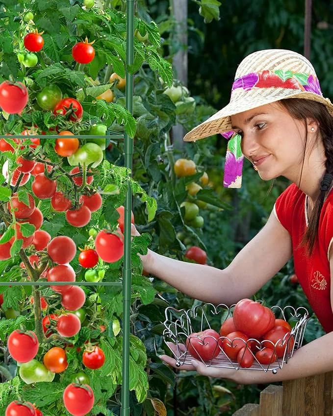 MYMULIKE 6 Pack Tomato Cages for Garden, 51in*13in Adjustable Tomatoes Plant Stakes Support Cages Trellis, Garden Trellis for Vegetable Flowers Fruits Climbing Plants- 20 Binding Wires Included
