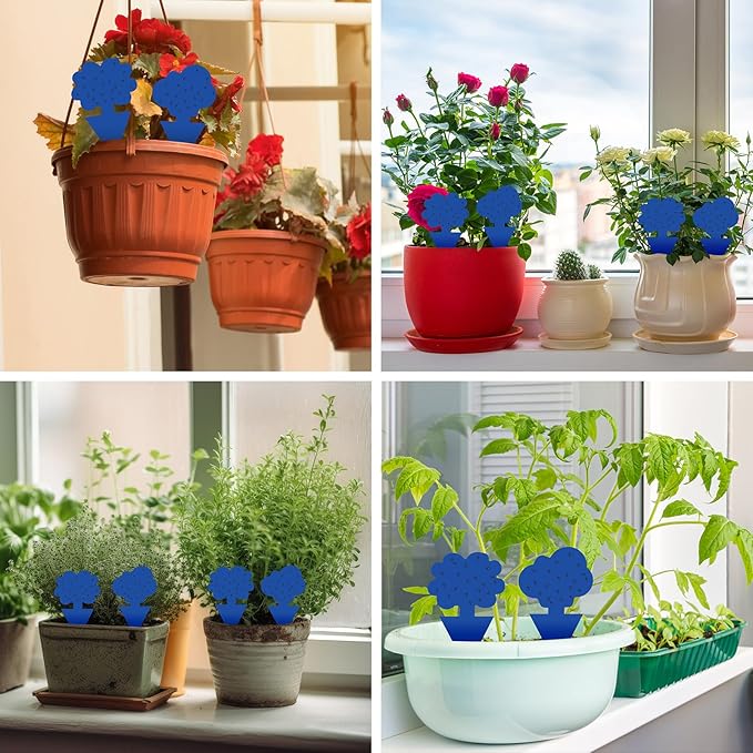 200 Pack Fruit Fly Sticky Traps for Indoor and Outdoor, Blue Gnat Killers Sticky Traps for Mosquitos, Flying Insect for Protecting Plant