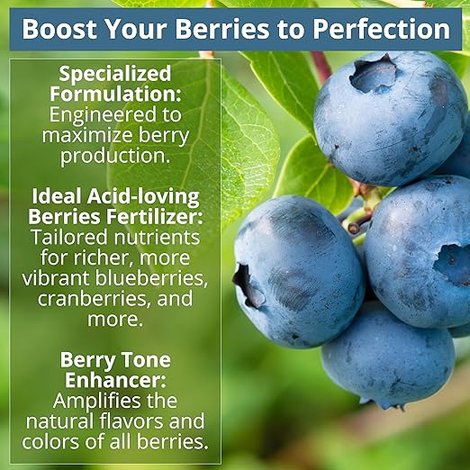 GARDENWISE 8-4-8 Acidic Fertilizer for Azaleas, Camellias (Camelia), Hydrangeas, Blueberries, Gardenias, Magnolia Trees, Evergreens, and Rhododendrons - Ideal Iron-Rich Plant Food (4 QUARTS)