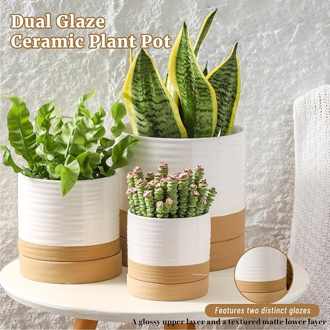 HASENSE Ceramic Plant Pots with Saucers Set of 3, 8+6+4.6 Inch Planters for Indoor Plants with Drainage Holes,Two-Tone Design White Flower Pots for Snake Plants & Cactus,Home & Office Decor