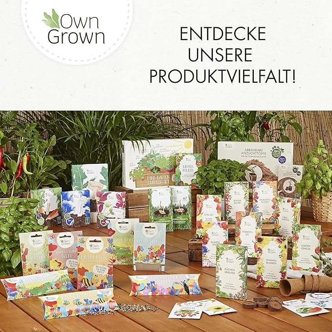 OwnGrown Yellow Sticky Fly Traps for Indoor Plants - 60 Pieces Effective Gnat Control, White and Fruit Fly Traps - Sunflower Sticker Paper Ideal for Houseplants and Indoor Use - 5.3" x 2.95"