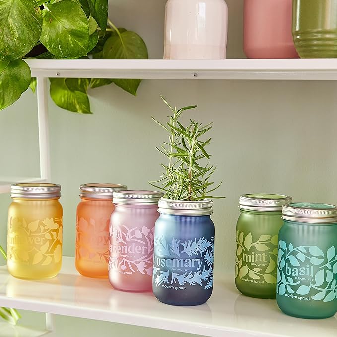 Modern Sprout Mason Garden Jar -Self-Watering Hydroponics Growing System Kit w/Organic Herb Seeds - Jar Planter for Indoor Herb Garden -Seed Starter Kit Basil+Lavender+Sunflower