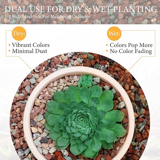 5LB Lava Rocks for Plants-3/8 Volcanic Rock for Succulent Potting Mix, Cactus, Orchids & Bonsai-Porous Horticultural Grit for Drainage, Aeration & pH Balance - Decorative Top Dressing