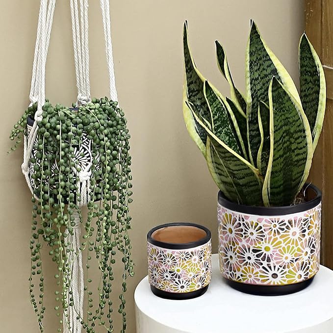 Qipecedm 3 Piece Ceramic Plant Pots, 5.7/4.7/3.5/inch Planters with Drainage Hole, Outdoor Indoor Flower Pots Set, Modern Decorative Plant Pots for Lilies, Cacti, Succulents, Snakes, Bamboo(Black)
