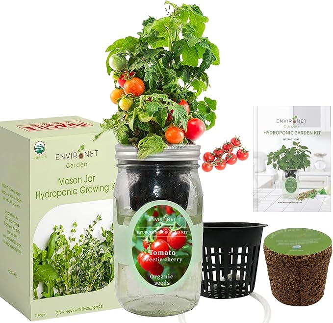 Hydroponic Tomato Growing Kit, Self-Watering Mason Jar Tomato Garden Starter Kit Indoor, Grow Tomatoes from Organic Seeds (Sweetie Cherry Tomato)