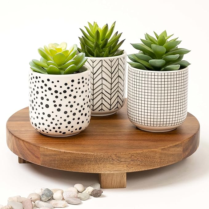Kurrajong Farmhouse Artificial Succulents in pots | Set of 3 Black and White pots with Faux Succulents | Faux Plants Indoor | Fake Plants for Desk Decor | 4.75" high