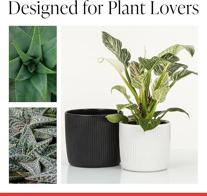 SCHEURICH Set of 2 Solido Linea Lagoon Ceramic Planters – 5.9" Decorative Pots for Indoor Plants - Waterproof&UV-Resistant - Elegant Relief Texture - Made in Germany, Modern Home&Office Decor - 0.5 gl