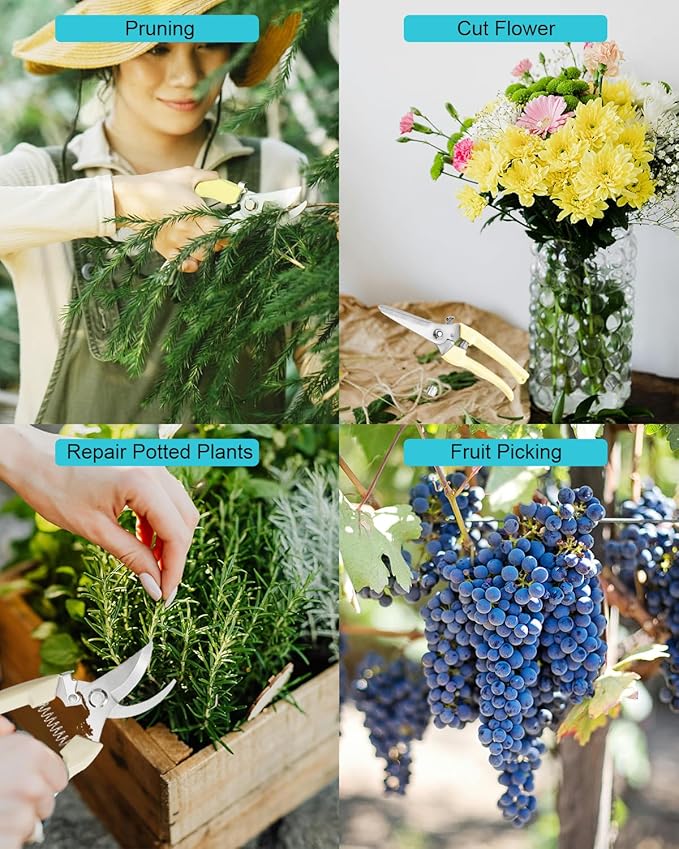 Pruning Shears for Gardening, 12 Pcs Garden Shears, Flower Scissors Clippers Hand Tools for Plant,Cutting Flowers, Bonsai and Fruits