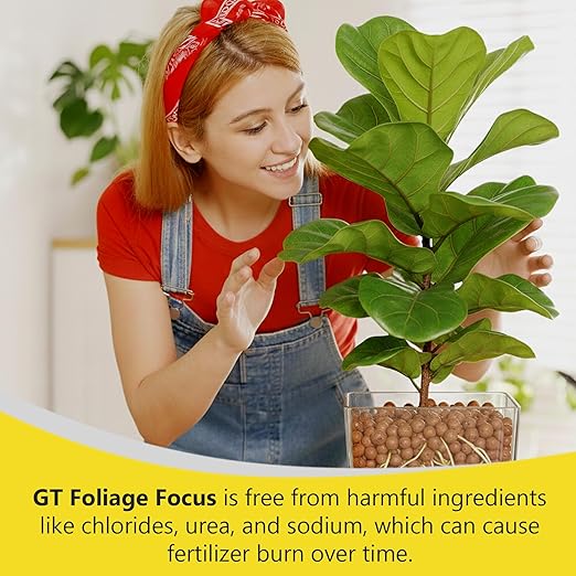 Growth Technology GT Foliage Focus – Liquid Indoor Plant Food Nutrient for Houseplants, Tropical Plants, Aroids, Ferns & Palms – Concentrated Formula for Vibrant Leaves & Dense Foliage – 5 Liters