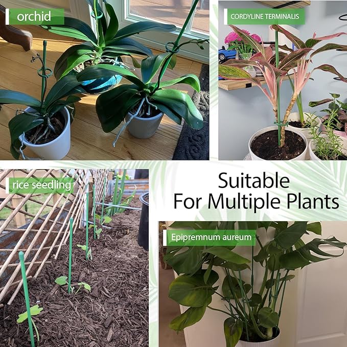 Plant Stakes,MAFONE 10Pcs 15In Monstera Plant Support Orchid Sticks Extended to 2/3/4ft, Plant Sticks Support Tall for Monstera,Orchids,Tomatoes,Vines & Indoor Outdoor Plants