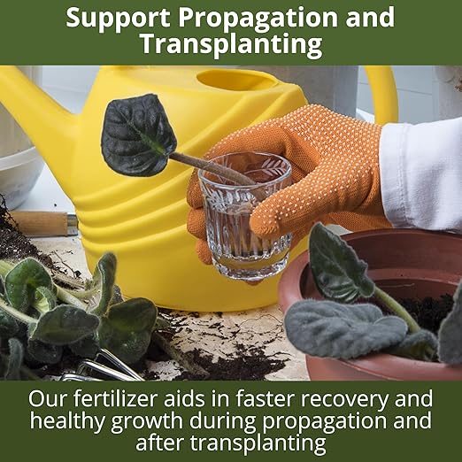 GARDENWISE 3-1-2 African Violet Fertilizer for Indoor Plants: Liquid Fertilizer with Essential Micronutrients Drops - Plant Food for African Violets (16 OZ)