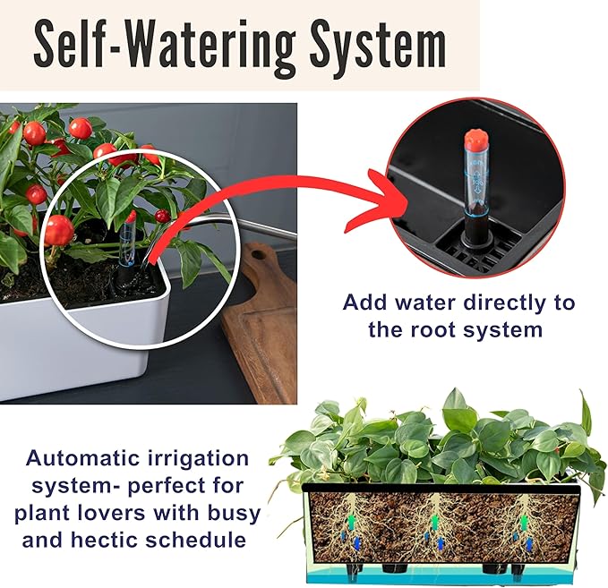 LaLaGreen Planter Box for Indoor Plants (16 Inch, 2 Pack) White Rectangular Self Watering Flower Pot, Large Window Boxes Planters with Drainage Decorative Modern Balcony Windowsill Herbs Home Garden