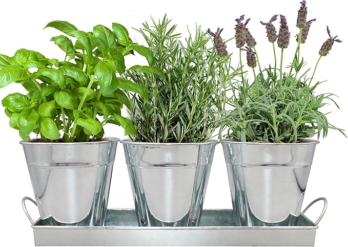 Herb Garden Kit - Complete Herb Growing Kit Set. Decorative Metal Vintage Plant Set. Grow Herbs from Seeds (Basil, Rosemary, Lavender)