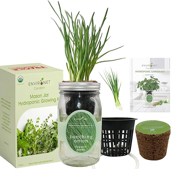 Hydroponic Vegetable Growing Kit, Self-Watering Mason Jar Vegetable Garden Starter Kit Indoor, Grow Bunching Onion from Organic Seeds (bunching Onion)