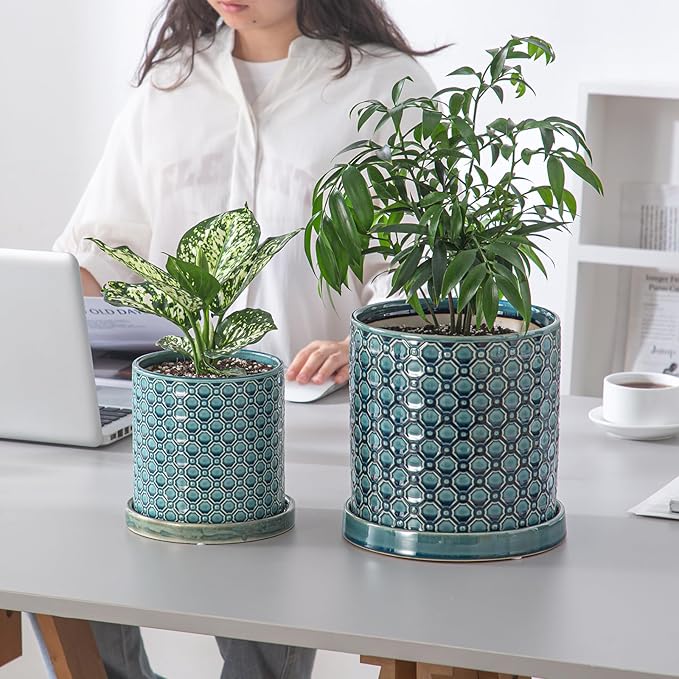8 Inch Plant Pot: Ceramic Planter with Drainage Hole & Saucer Indoor Outdoor Plants - Cylinder Round Flower Pot for Home Office - Modern Decorative - Medium Blue