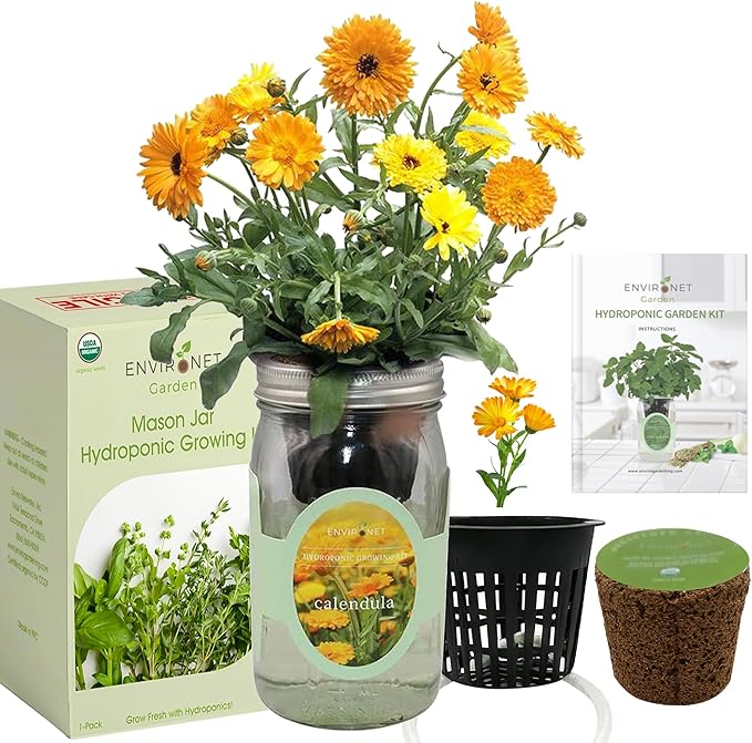 Hydroponic Calendula Growing Kit, Self-Watering Mason Jar Garden Starter Kit Indoor, Grow Calendula from Organic Seeds