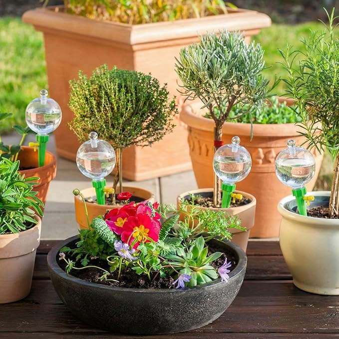 4 Pcs 17oz Plant Self Watering Globes for Indoor Outdoor Adjustable Plants Plastic Water Bulbs Top Fill Plant Self Watering Planter Insert Devices System Water Spikes Stakes