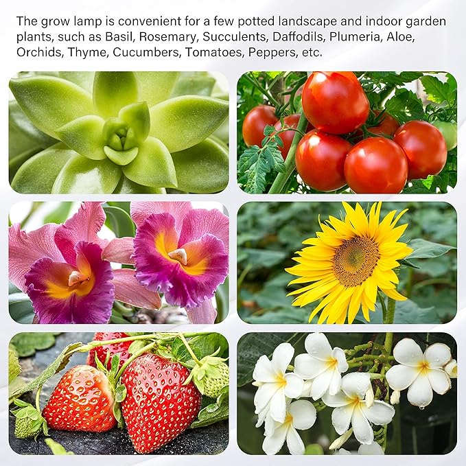 iPower 2Pack 20W LED Grow Lights with Full Spectrum Plant Growing Light Strips for Indoor Plant with Auto ON/Off 3/9/12H Timer, 10 Dimmable Levels 48 LEDs Per Tude, 2 Tubes, Red&Blue
