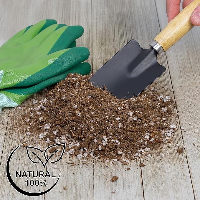 Soil Sunrise Carnivorous Plant Potting Soil Mix (1 Quart) Ideal Additive for Venus Fly Traps, Sundews, and Pitcher Plants