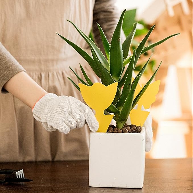 Garsum Fruit Fly Trap Yellow Sticky Fungus Gnat Killer for Indoor and Outdoor Plant