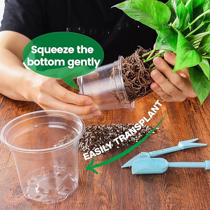 Bluepro 36 Packs 5/4/3.5 Inch Clear Nursery Pots with Humidity Domes, Transparent Plant Pots with Drainage Holes, Variety Pack Seedling Pots for Vegetable Propagation, Root Cutting, Seed Starting