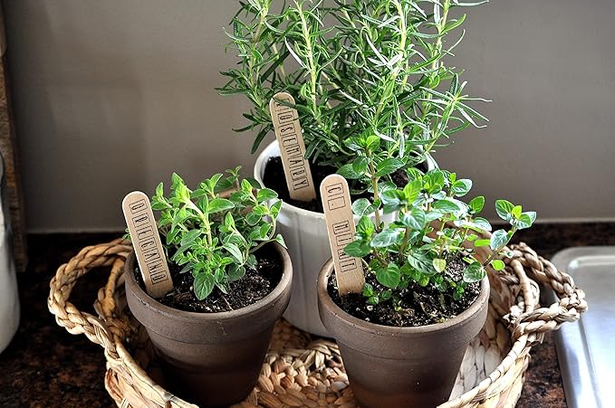 Doter Organic Potting Soil Mix 4qt for All Indoor & Outdoor Small Containers Including Herbs, Vegetables, and Flowers