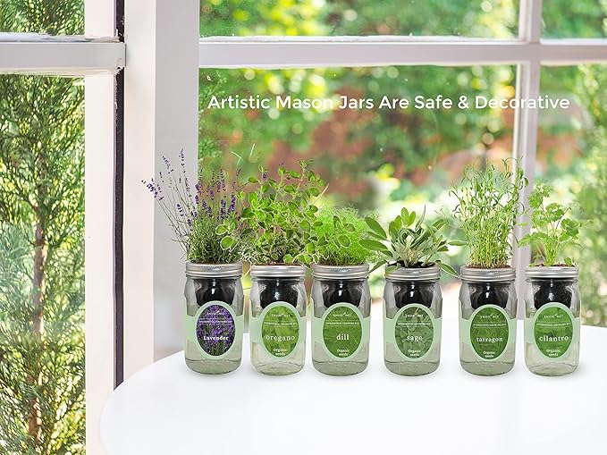 Hydroponic Herb Growing Kit, Self-Watering Mason Jar Herb Garden Starter Kit Indoor, Windowsill Herbs Garden, New Christmas Grden Gift for Mom (Marjoram)