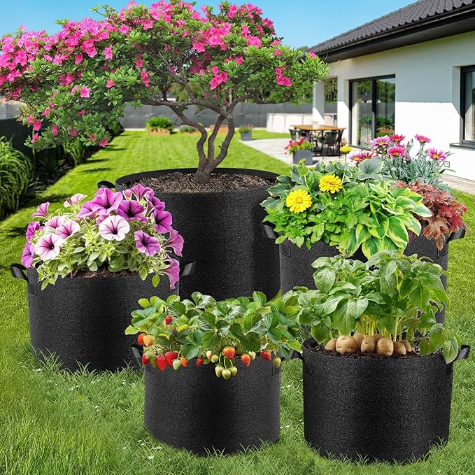 Jorvila 5 Pack 1 Gallon Grow Bags, Thickened Nonwoven Fabric Planter Pots with Handles, Heavy Duty 300G Garden Pots for Tomato, Potato and Vegetable
