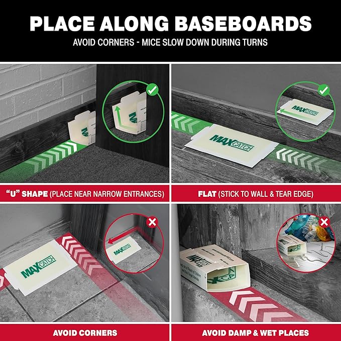 Catchmaster Max-Catch Mouse & Insect Glue Trap 72pk, Mouse Traps Indoor for Home, Sticky Pest Control Adhesive Tray for Catching Bugs, Bulk Classic Glue Boards