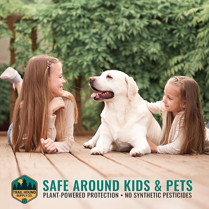 Home Guard Peppermint Insect & Pest Control Spray – Peppermint & Cedarwood Oil Deodorizer with Extended Protection – USA-Made, Safe for Kids & Pets – Kills & Repels Bugs – Indoor & Outdoor Use - 16oz